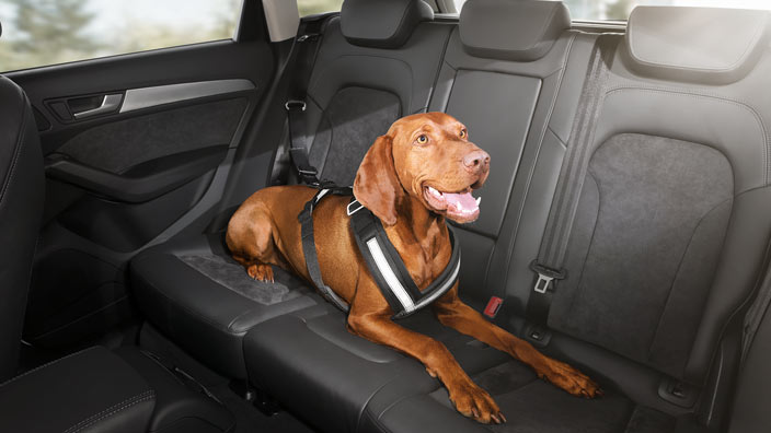 Audi A8 оригинальная сбруя для безопасности собак